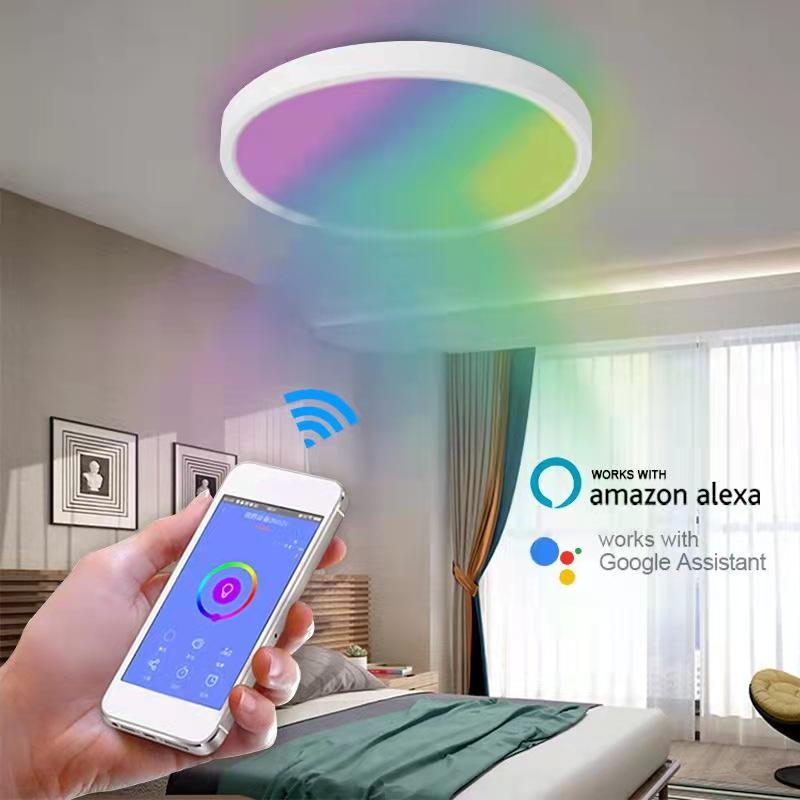 30*5cm Smart Ceilling Light - A-TEAM SMART HOME