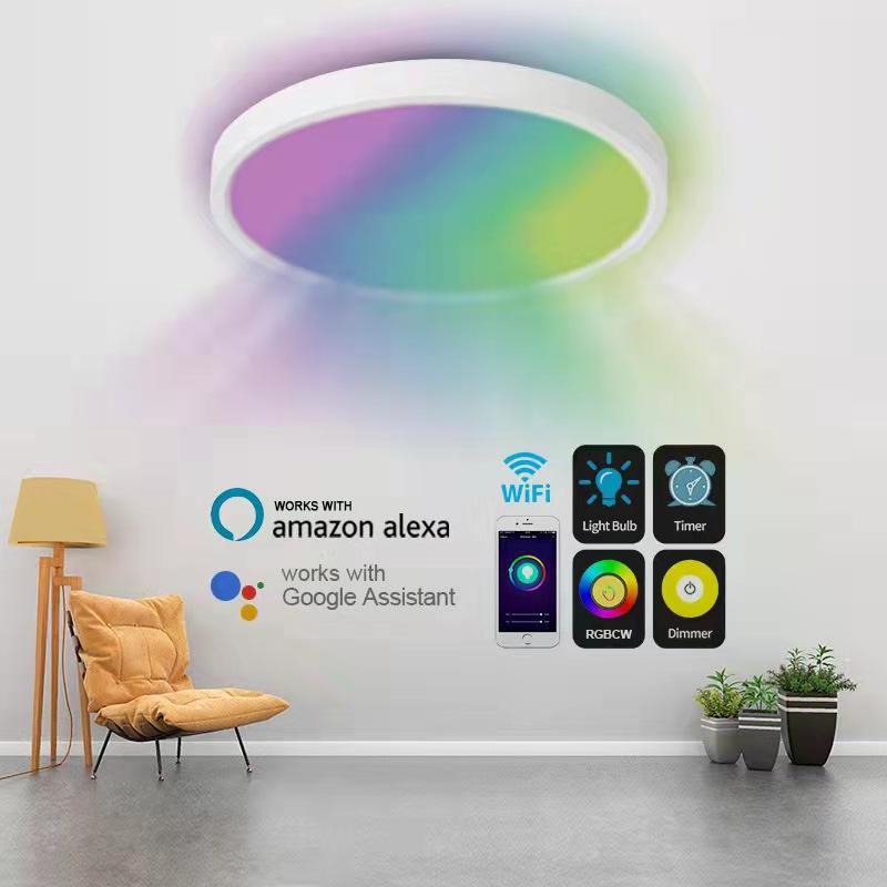 30*5cm Smart Ceilling Light - A-TEAM SMART HOME